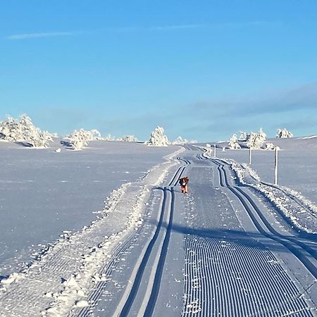 Koselig Familiehytte Pa Vakre Dagali - Naer Geilo Luaran gambar