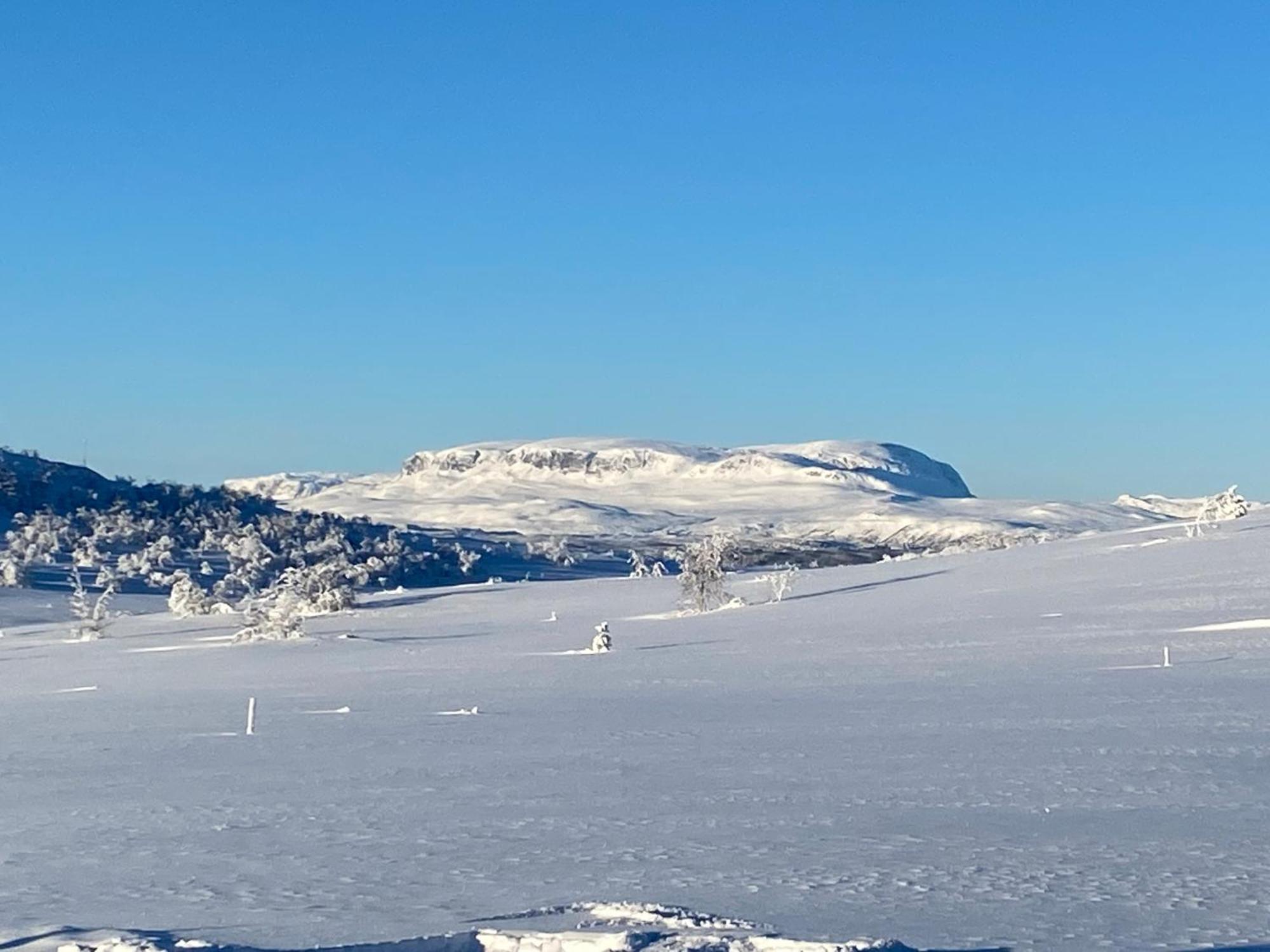 Koselig Familiehytte Pa Vakre Dagali - Naer Geilo Luaran gambar